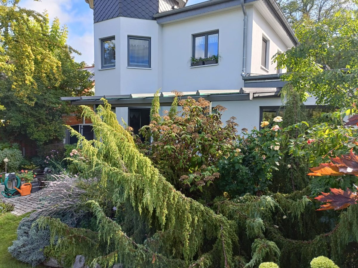 Weiterer Gartenblick auf Dachbreite und Stützenstellung.