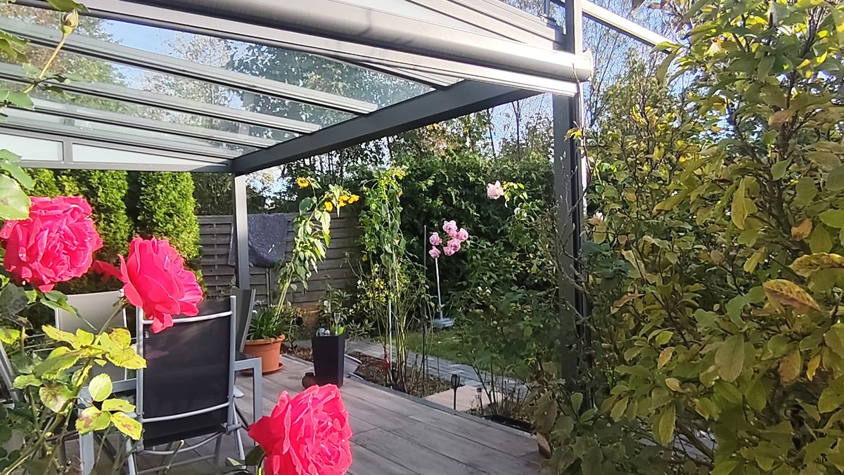 Blick vom Sitzplatz unter das Glasdach in den Garten.