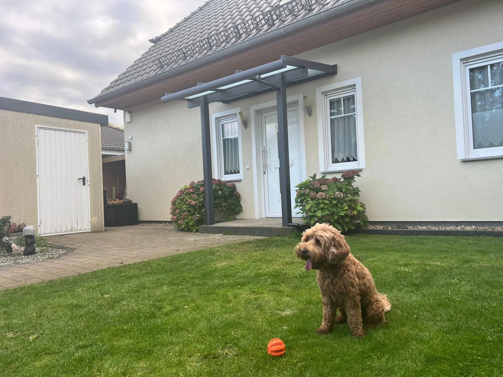 Originalaufnahme der fertigen Eingangsüberdachung mit Hund
